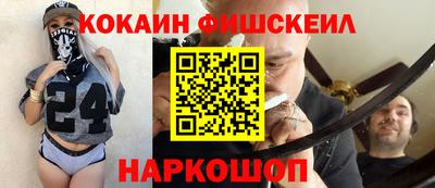 a pvp Камышлов