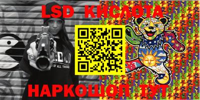 a pvp Камышлов