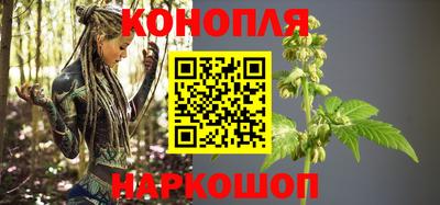 a pvp Камышлов