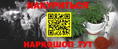 a pvp Камышлов