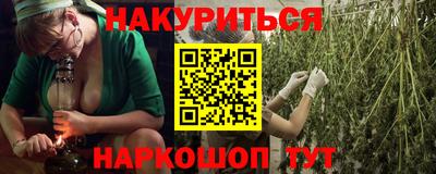 a pvp Камышлов