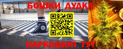 a pvp Камышлов