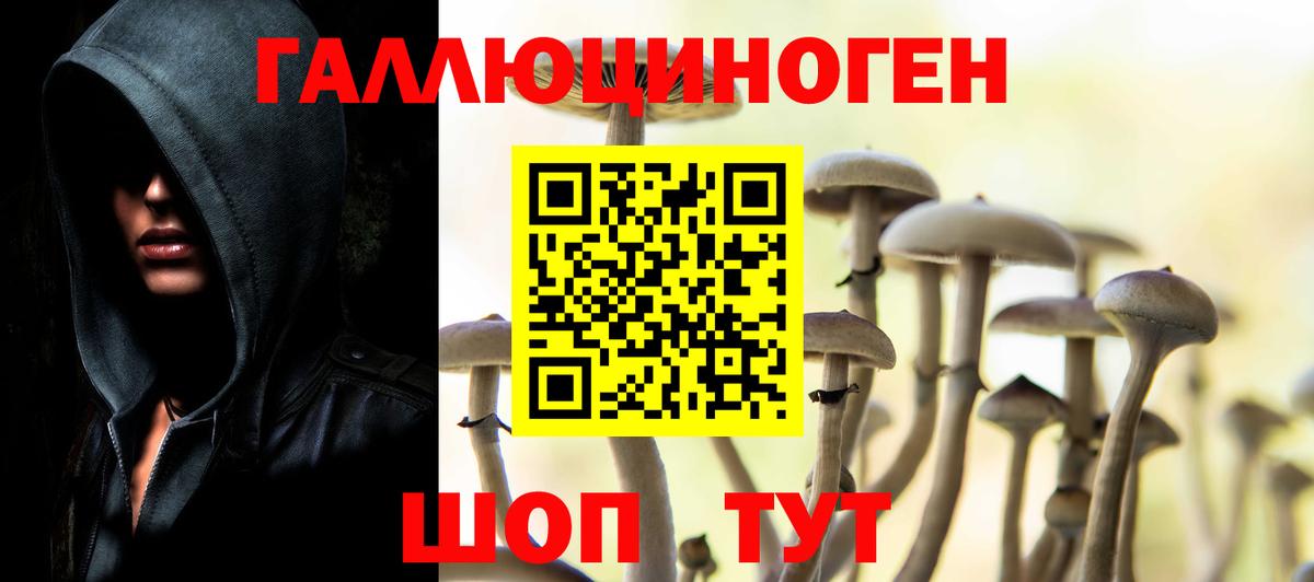 что такое   Вход с VPN  Краснодар  Псилоцибиновые грибы Magic Shrooms 