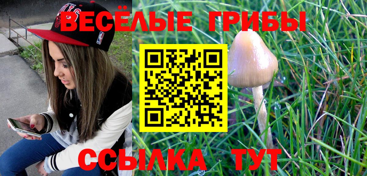 Галлюциногенные грибы Cubensis Краснодар